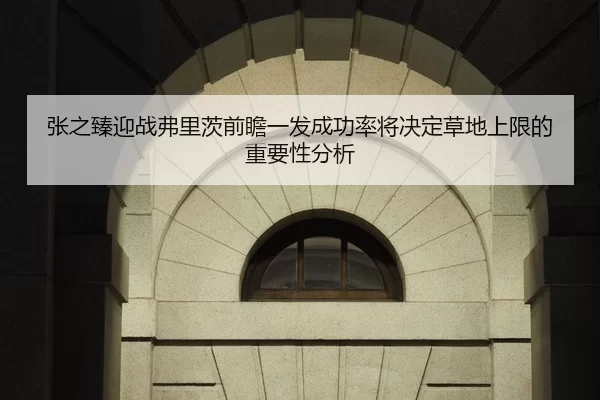 张之臻迎战弗里茨前瞻一发成功率将决定草地上限的重要性分析