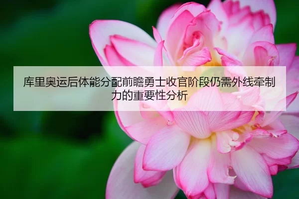 库里奥运后体能分配前瞻勇士收官阶段仍需外线牵制力的重要性分析