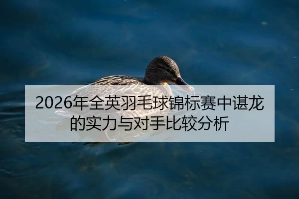 nian-quan-ying-yu-mao-qiu-jin-biao-sai-zhong-chen-long-de-shi-li-yu-dui-shou-bi-jiao-fen-xi-2-920.jpg