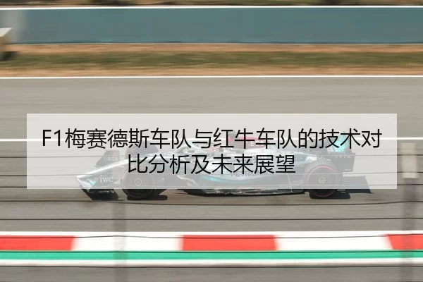 F1梅赛德斯车队与红牛车队的技术对比分析及未来展望（HTH Sports）