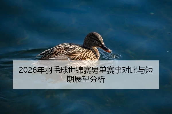 2026年羽毛球世锦赛男单赛事对比与短期展望分析（HTH Sports）