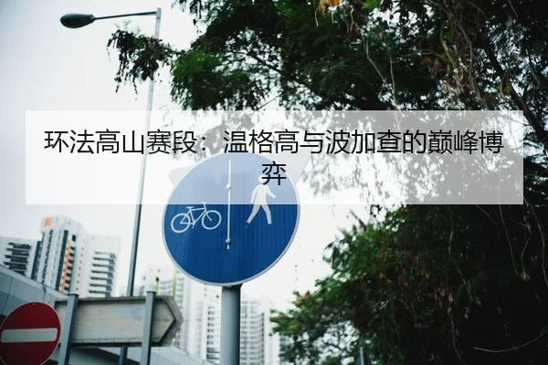环法高山赛段：温格高与波加查的巅峰博弈