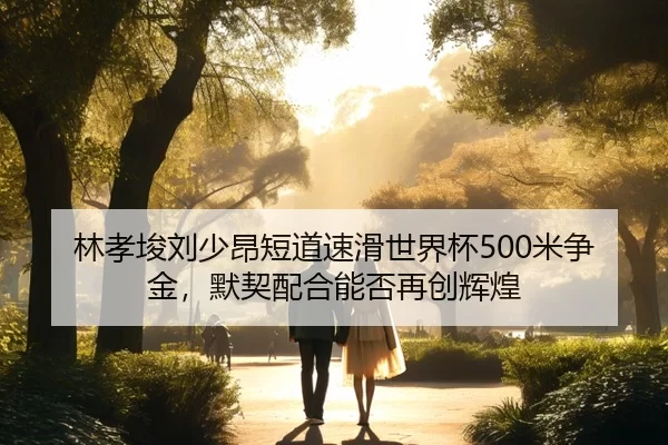 林孝埈刘少昂短道速滑世界杯500米争金，默契配合能否再创辉煌