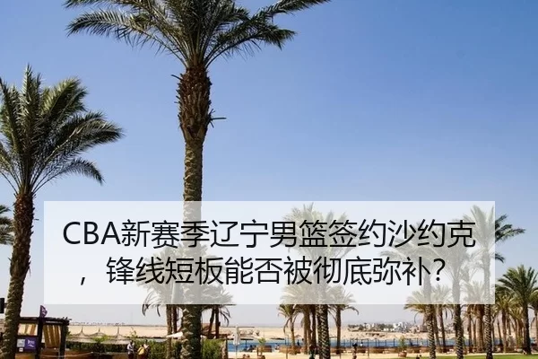 CBA新赛季辽宁男篮签约沙约克，锋线短板能否被彻底弥补？