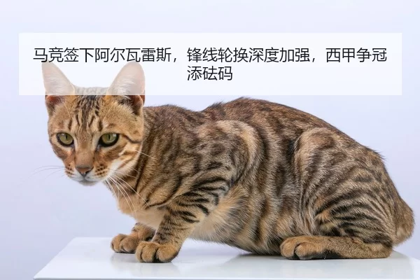 ma-jing-qian-xia-a-er-wa-lei-si-feng-xian-lun-huan-shen-du-jia-qiang-xi-jia-zheng-guan-tian-fa-ma-2-268.jpg