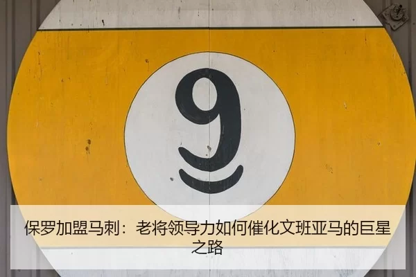bao-luo-jia-meng-ma-ci-lao-jiang-ling-dao-li-ru-he-cui-hua-wen-ban-ya-ma-de-ju-xing-zhi-lu-3-710.jpg